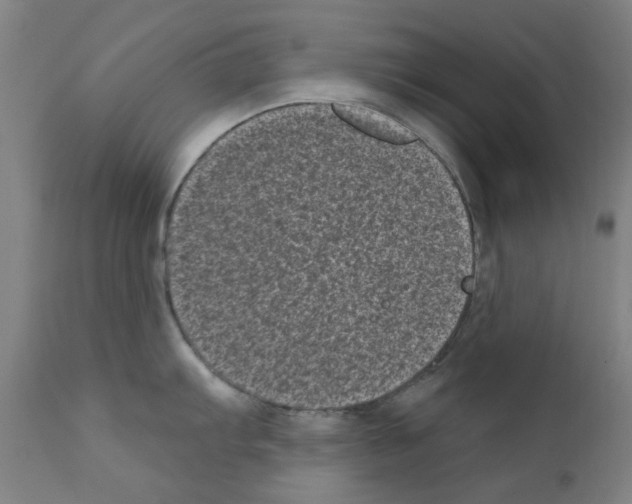 X0000110941103200907311010