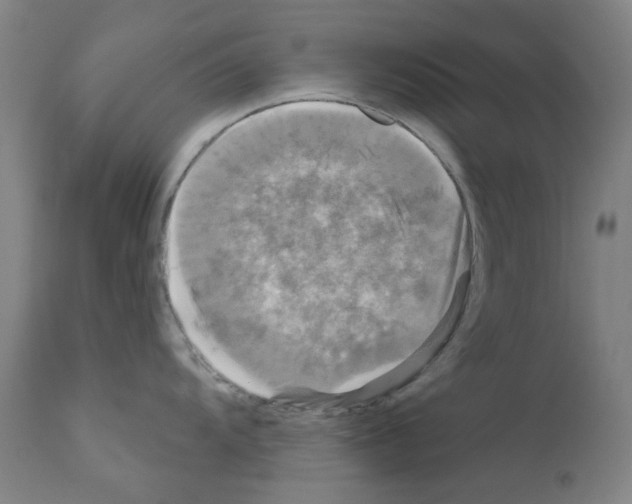 X0000110941104200907311010