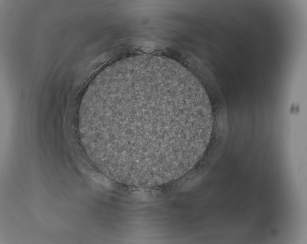 X0000110941105200907311010