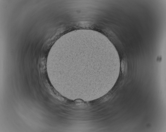 X0000110941107200907311010