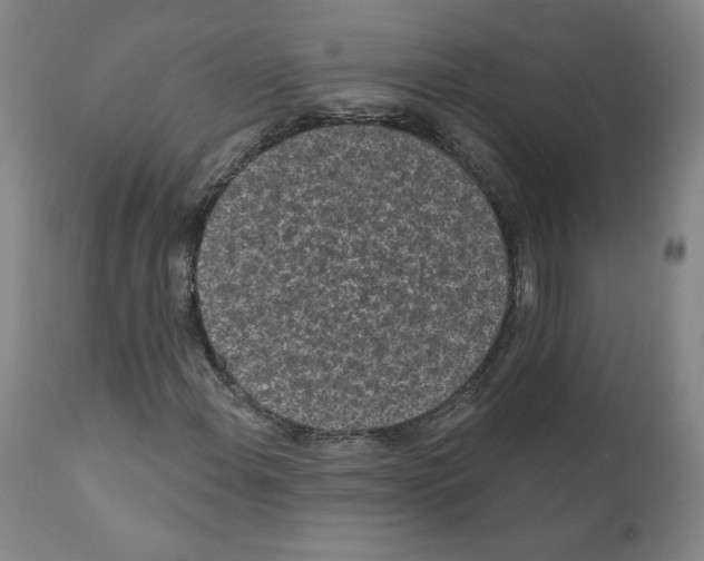 X0000110941108200907311010