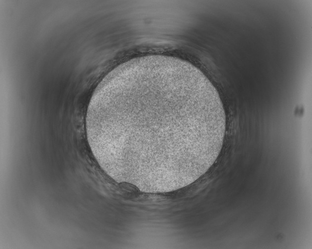 X0000110941109200907311010