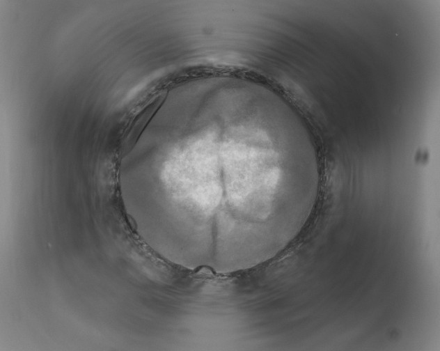 X0000110941110200907311010