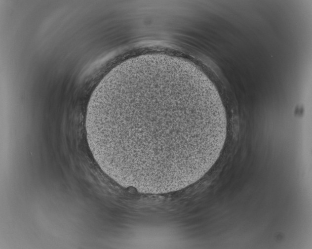 X0000110941111200907311010