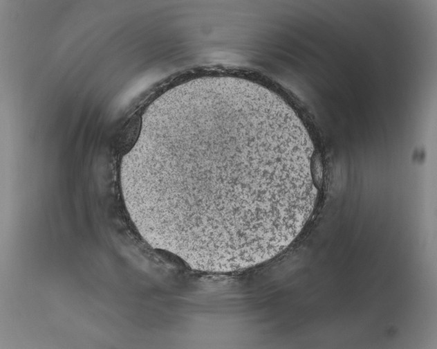 X0000110941112200907311010