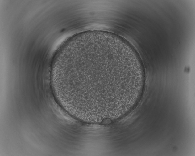 X0000110941115200907311010