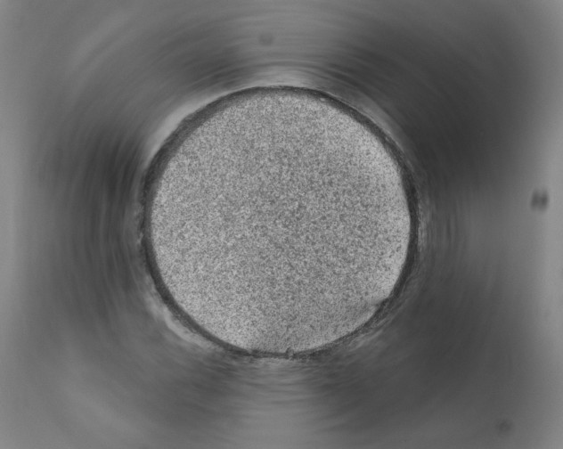 X0000110941116200907311010
