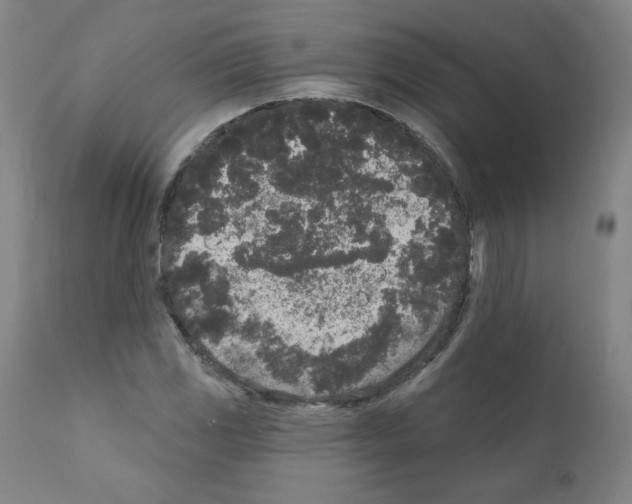 X0000110941117200907311010