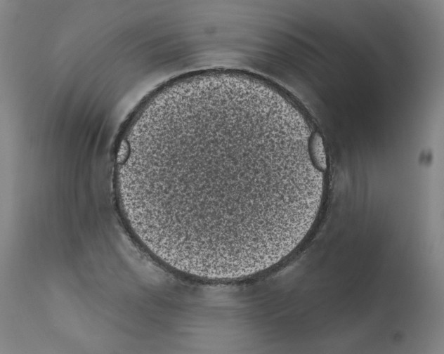 X0000110941118200907311010