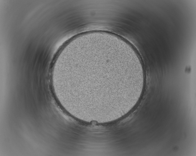X0000110941119200907311010