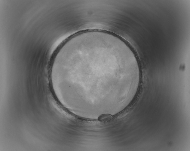 X0000110941120200907311010