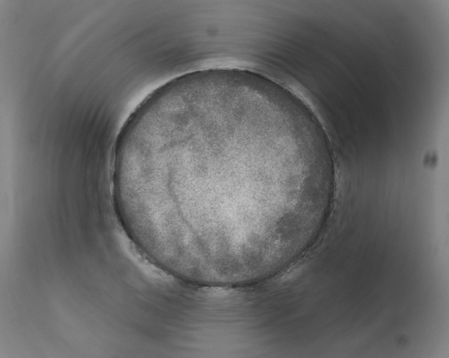 X0000110941124200907311010