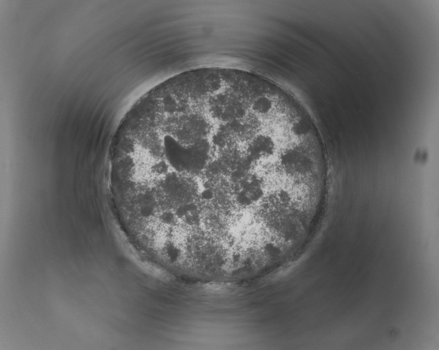 X0000110941125200907311010