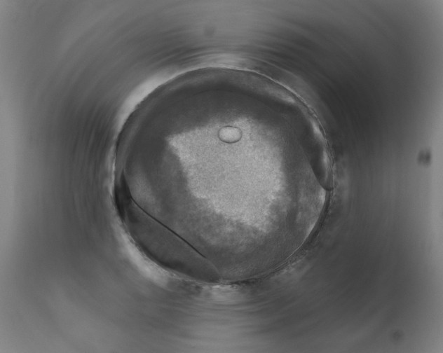 X0000110941128200907311010