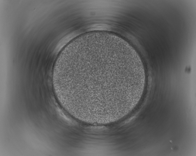 X0000110941129200907311010