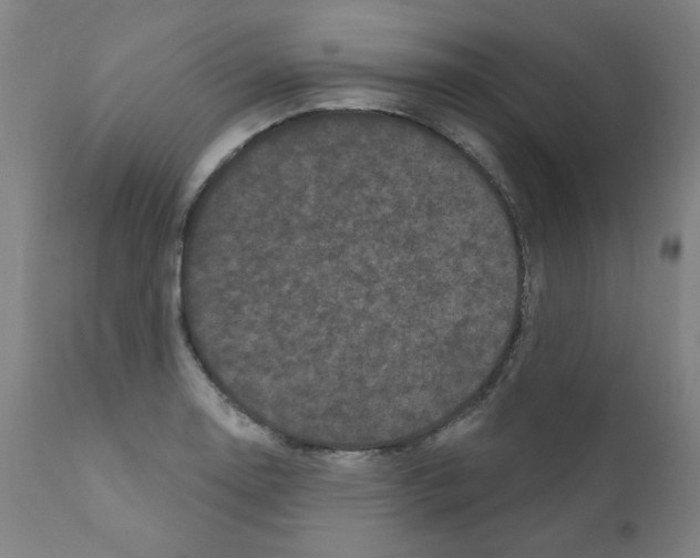 X0000110941130200907311010