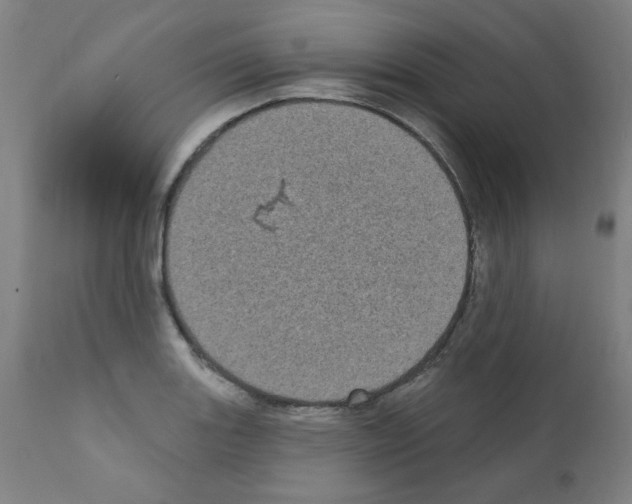 X0000110941131200907311010