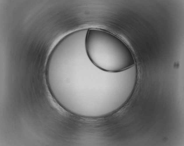 X0000110941132200907311010
