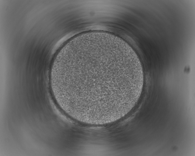 X0000110941133200907311010