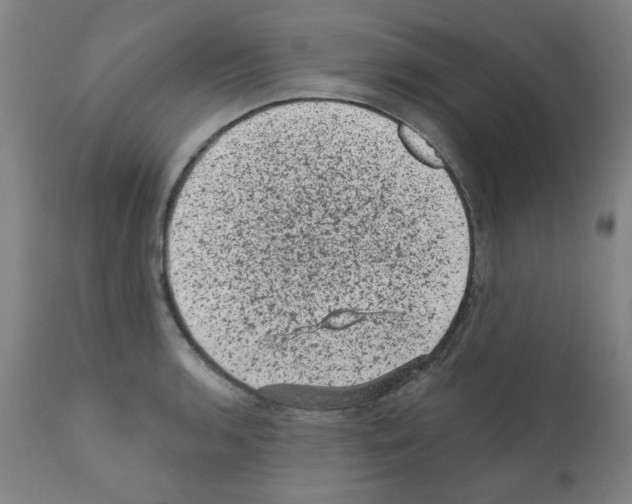 X0000110941136200907311010