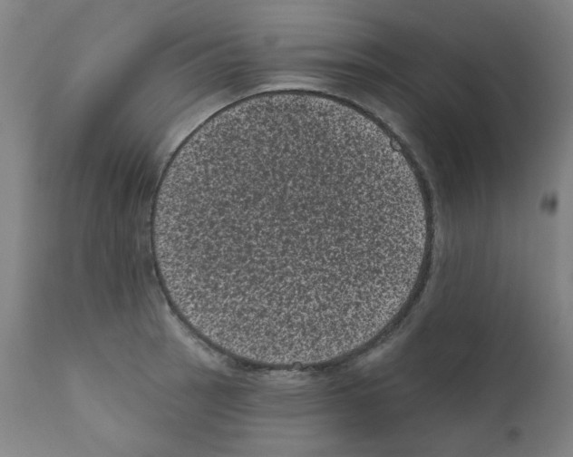 X0000110941137200907311010
