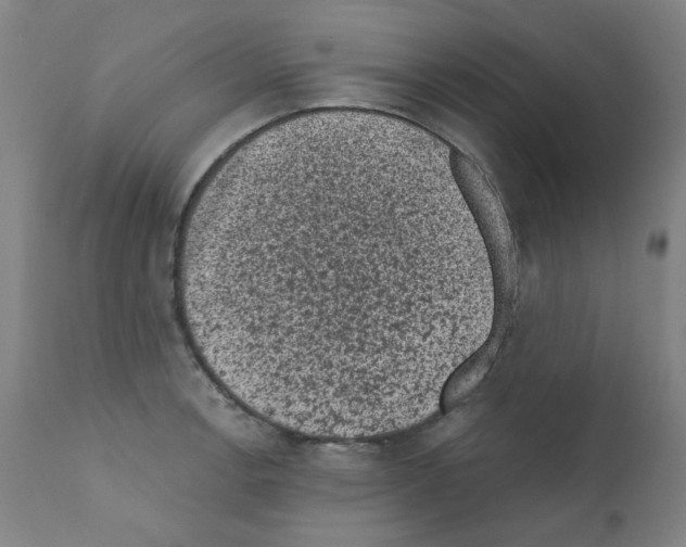 X0000110941138200907311010