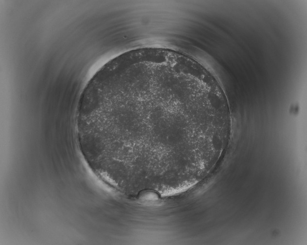 X0000110941141200907311010
