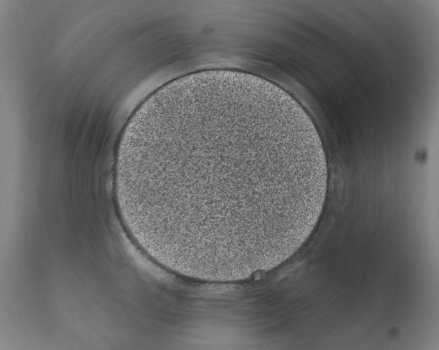 X0000110941143200907311010