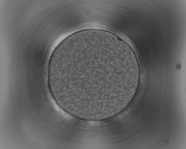 X0000110941144200907311010