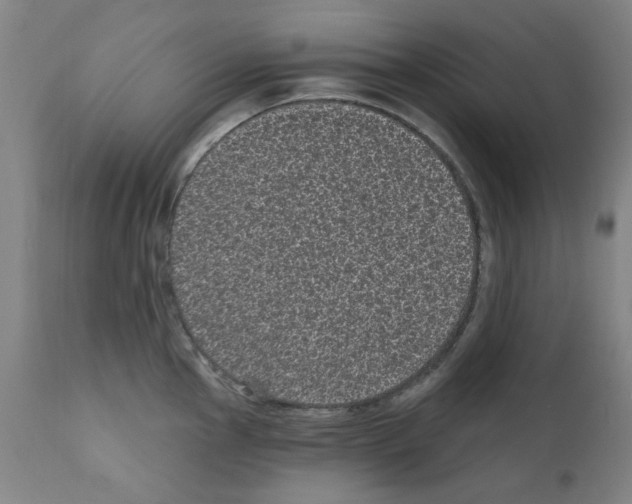 X0000110941145200907311010