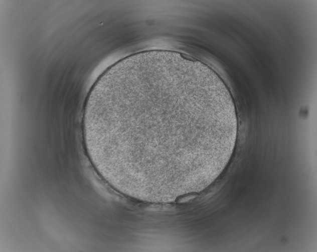 X0000110941146200907311010