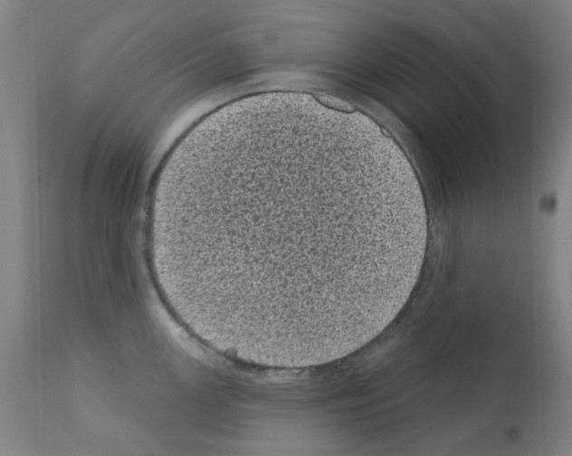 X0000110941147200907311010