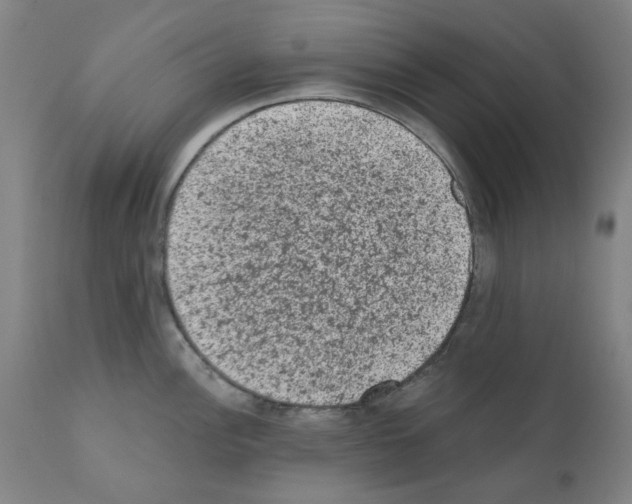 X0000110941148200907311010