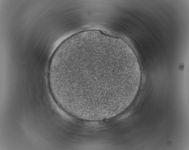 X0000110941149200907311010