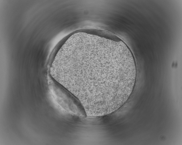 X0000110941152200907311010
