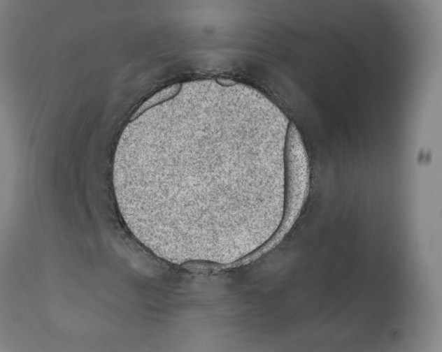 X0000110941153200907311010