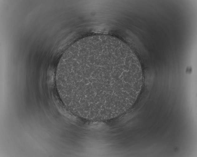 X0000110941154200907311010