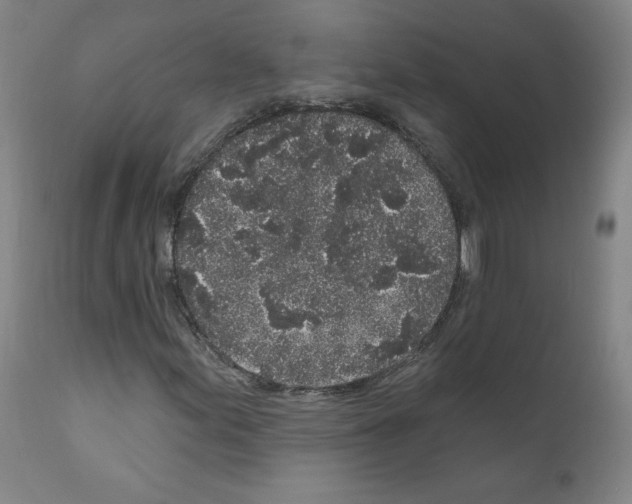 X0000110941155200907311010