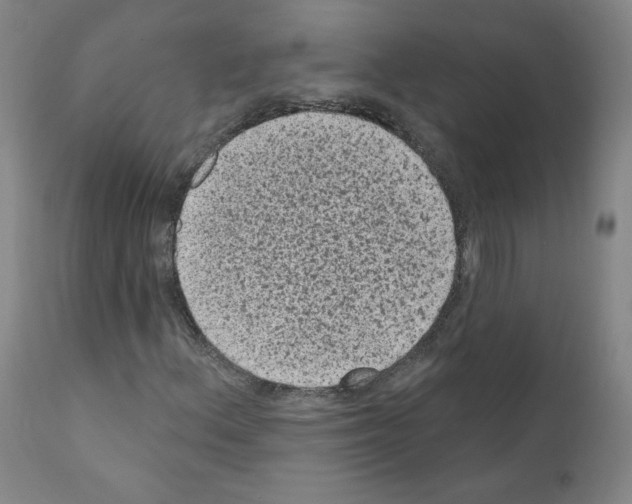 X0000110941156200907311010