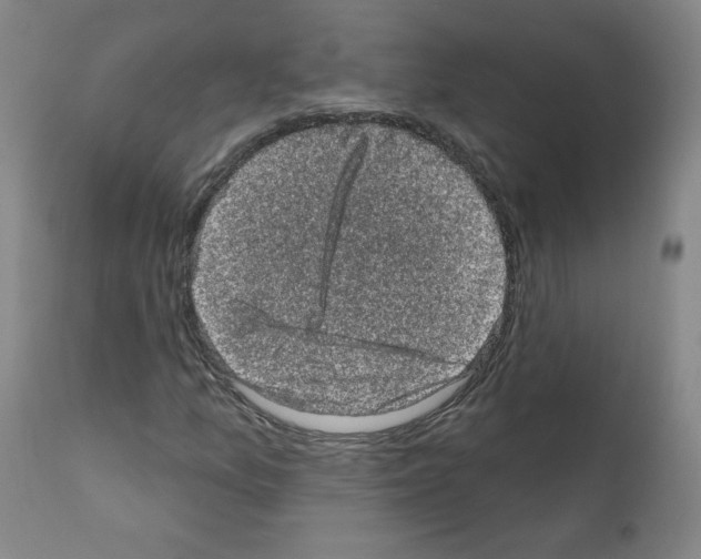 X0000110941157200907311010