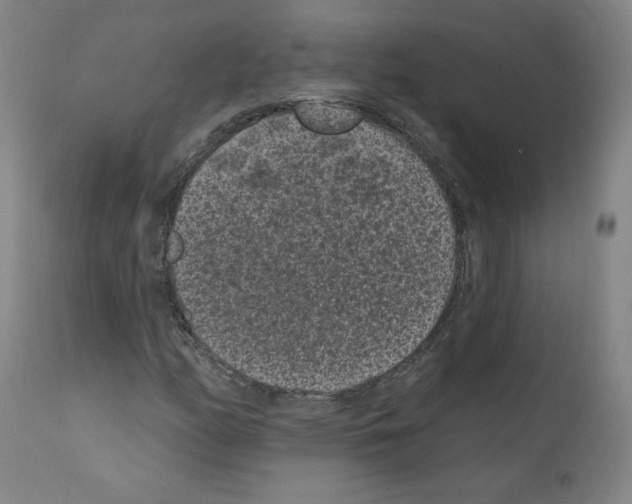 X0000110941158200907311010