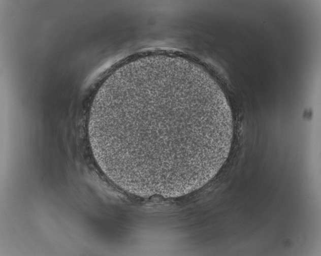 X0000110941159200907311010