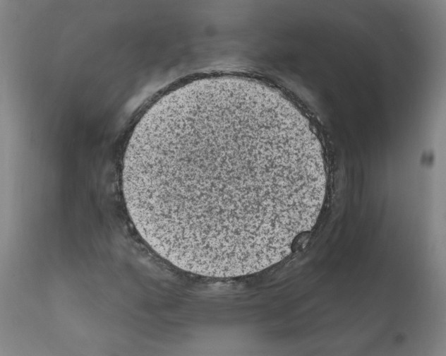X0000110941160200907311010