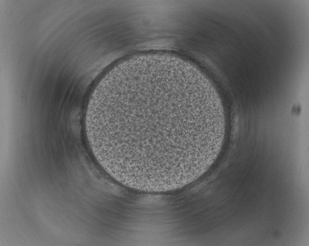 X0000110941162200907311010