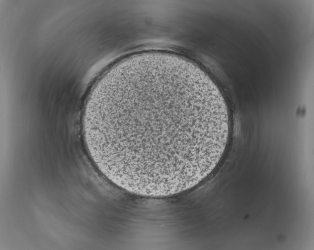 X0000110941164200907311010
