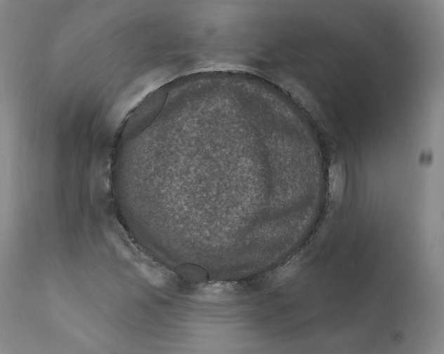 X0000110941165200907311010