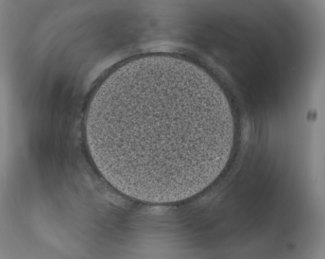 X0000110941166200907311010
