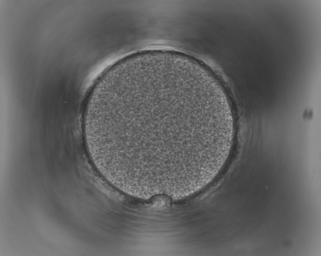 X0000110941167200907311010