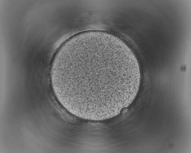 X0000110941168200907311009