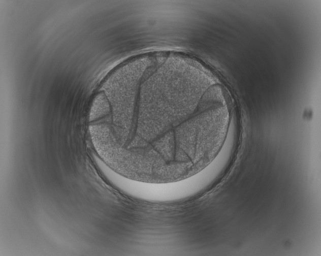 X0000110941169200907311009